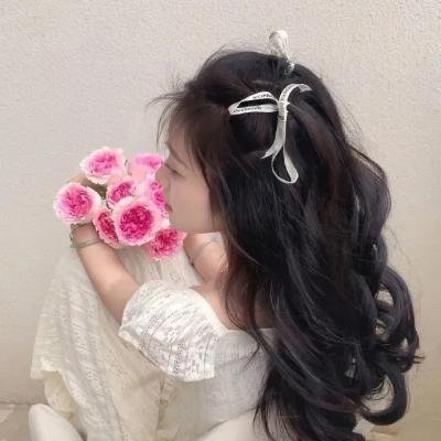 宫崎骏与苍鹭